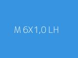 M 6X1,0 LH 
